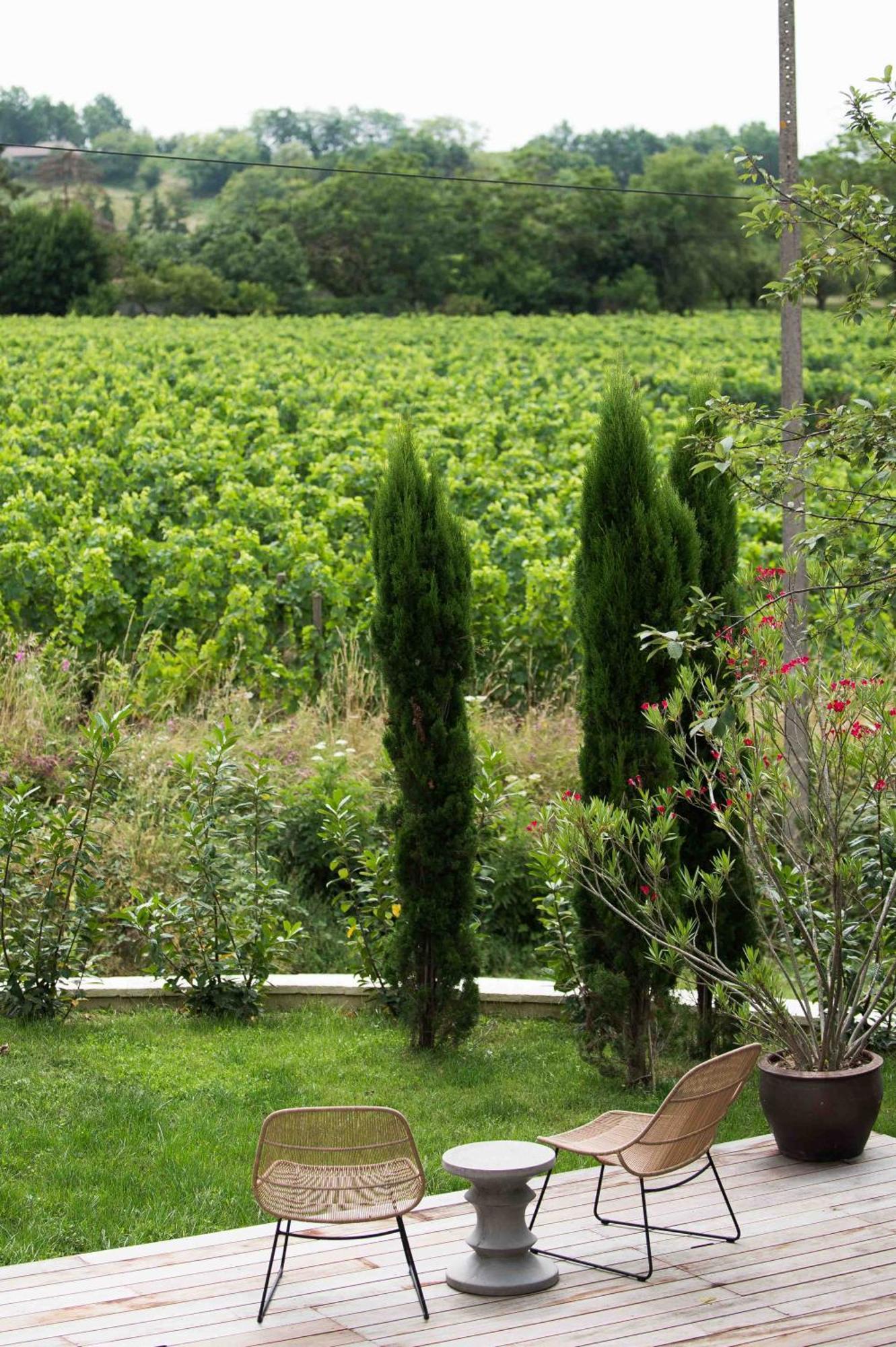مونتانيو Clos De La Barbanne المظهر الخارجي الصورة